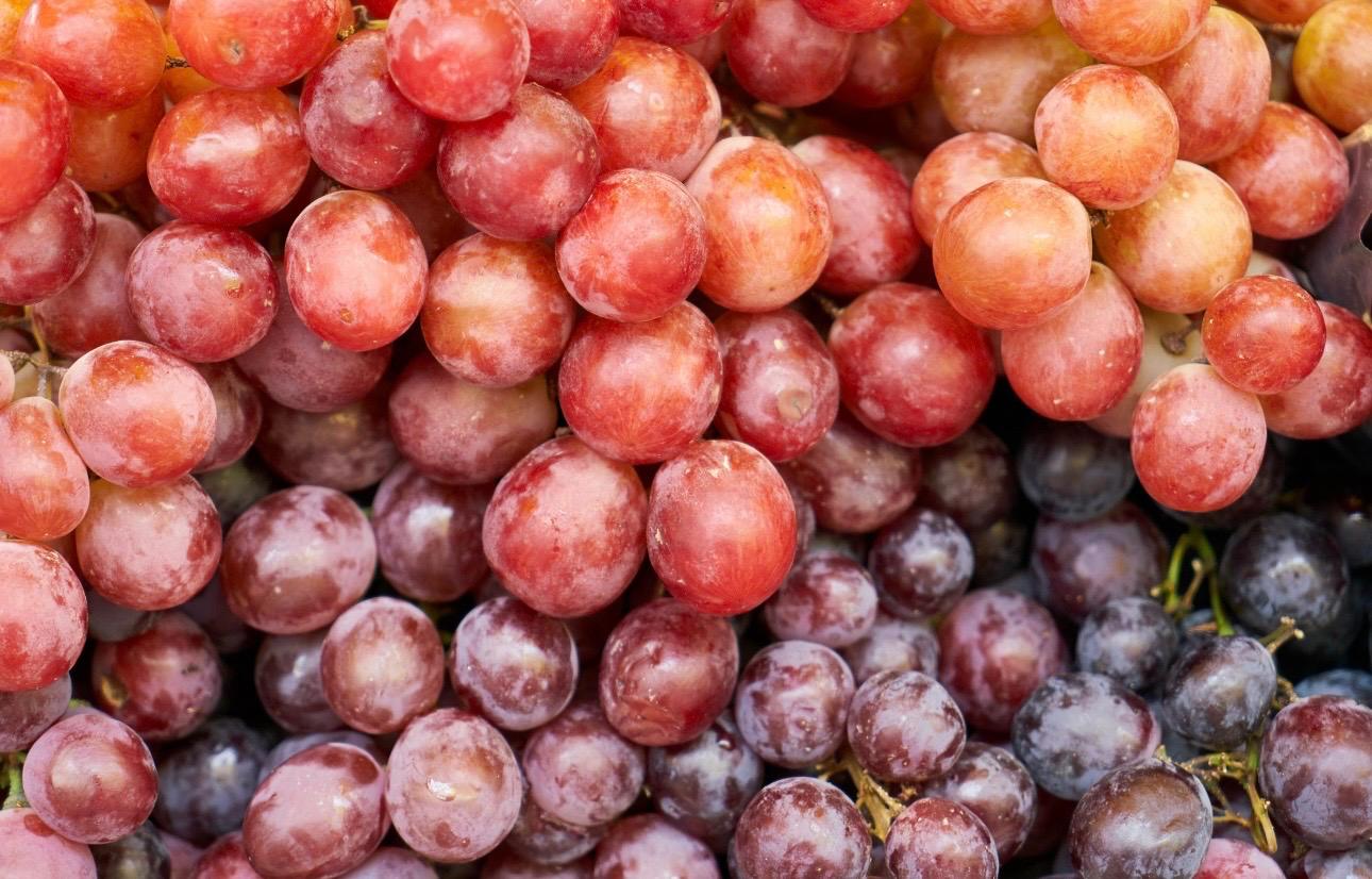 Red Grapes
